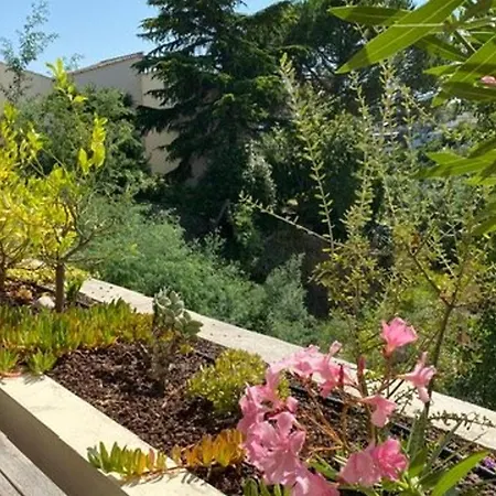 Appartamento 2 Pieces Avec Terrasse Et Piscine - 4 Pers - - Fr-1-609-111 Cannes